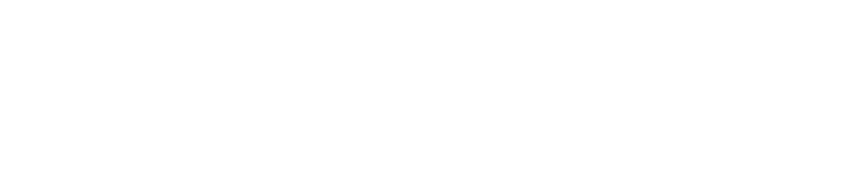 Cybitronix logo